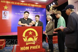 De nombreux Vietnamiens résidant à l’étranger ont exprimé leur espoir que la nouvelle Assemblée nationale et les autorités locales continueront d’améliorer le cadre institutionnel. Photo : VNA