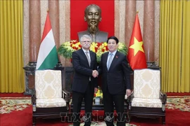Le président Luong Cuong (droite) et le président de l’Assemblée nationale de Hongrie Kover Laszlo. Photo : VNA