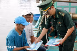 Dông Thap organise des opérations intensives de contrôle, d’enquête et de sanction contre les infractions IUU. Photo : VNA