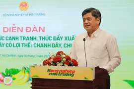 Le vice-ministre de l'Agriculture et de l'Environnement, Tran Thanh Nam. Photo : VNA