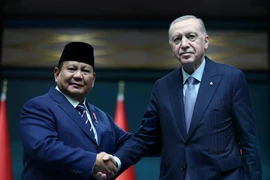 Le président turc Recep Tayyip Erdogan (à droite) et son homologue indonésien Subianto Prabowo lors d'une conférence de presse conjointe le 10 avril. (Photo : Xinhua/VNA)