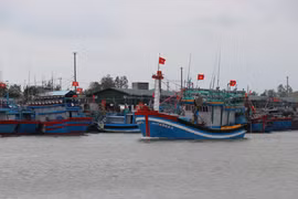 Les pêcheurs de Quang Ngai construisent et modernisent leurs navires afin de restructurer la flotte vers un modèle plus moderne. Photo : VNA