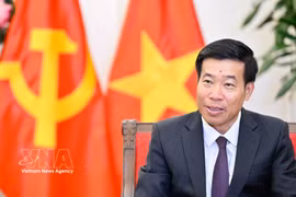 Le vice-ministre des Affaires étrangères, Nguyen Manh Cuong. Photo : VNA