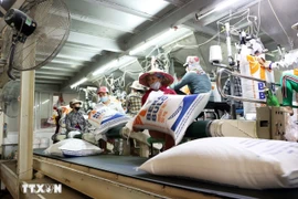 Chaîne de conditionnement de riz pour l'exportation dans la province d'An Giang. Photo : VNA