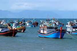 Des bateaux de pêche opèrent au large des côtes d'Hô Chi Minh-Ville. — Photo www.sggp.org.vn
