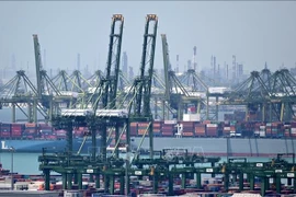 es échanges commerciaux Vietnam–Singapour affichent une forte croissance au premier semestre 2025, Photo : VNA
