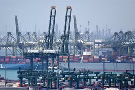 es échanges commerciaux Vietnam–Singapour affichent une forte croissance au premier semestre 2025, Photo : VNA