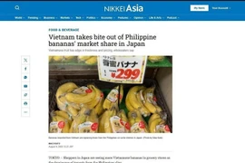 Nikkei Asia rapporte que les bananes vietnamiennes gagnent en popularité dans les épiceries japonaises. (Capture d'écran : VNA)