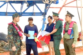 Renforcement des efforts de communication et de répression contre les infractions INN à Ca Mau. (Photo : VNA)