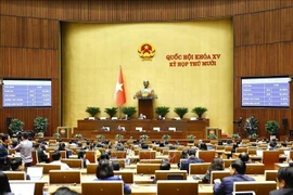 Lors d'une session de l'Assemblée nationale. Photo : VNA