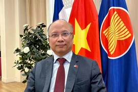 L'ambassadeur du Vietnam en France, Dinh Toan Thang. Photo : VNA