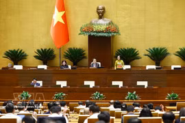 La vice-présidente de l’Assemblée nationale, Nguyen Thi Thanh, dirige la séance. Photo : VNA