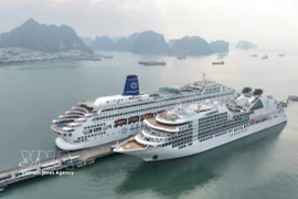 Vue d’ensemble du port international de passagers de Ha Long, animé dans la matinée du premier jour du Têt Bính Ngọ 2026, avec l’arrivée de deux paquebots de luxe, le Seabourn Encore et le Piano Land. Photo M VNA