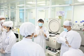 Des experts travaillent au laboratoire de cellules souches de l'Université des sciences, rattachée à l'Université nationale du Vietnam, à Hô Chi Minh-Ville. (Photo : sggp.org.vn)