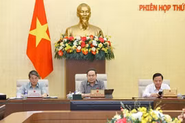 Le président de l’AN, Tran Thanh Man. Photo : VNA