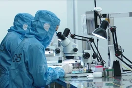 Production de caméras chez Sunny Opotech Vietnam, parc industriel de Yên Bình. Photo : VNA