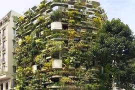Le Bureau d'agriculture urbaine de Hô Chi Minh-Ville, conçu par Vo Trong Nghia. (Photo : avec l'aimable autorisation de Vo Trong Nghia Architects)