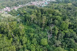 Cette photo aérienne, prise le 14 février 2025, montre les zones forestières qui entourent un village de Sigi, dans la province de Sulawesi central. (Photo d'illustration : Antara News)