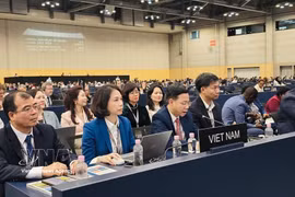 Le vice-ministre des Affaires étrangères Ngô Lê Van, président de la Commission nationale vietnamienne pour l’UNESCO, prononce une allocution lors de la 48e session du Comité du patrimoine mondial de l’UNESCO. Photo : VNA