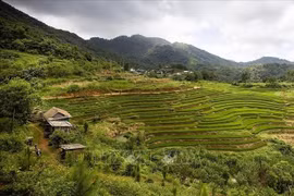 Au milieu des montagnes majestueuses du Nord-Ouest vietnamien, le hameau de Mung s’impose progressivement comme une nouvelle destination phare du tourisme communautaire. Photo : VNA
