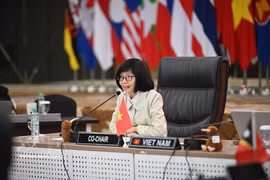 L'ambassadrice Ton Thi Ngoc Huong, représentante permanente du Vietnam auprès de l'ASEAN. Photo : VNA