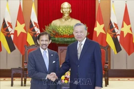 Le secrétaire général du Parti communiste du Vietnam, To Lam, (droite) et le Sultan de Brunei, Haji Hassanal Bolkiah, en visite d'État au Vietnam. Photo : VNA