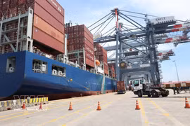 Le port en eau profonde CMIT, dans la zone de Cai Mep - Thi Vai à Hô Chi Minh-Ville, peut actuellement accueillir des porte-conteneurs d’une capacité maximale de 214.121 DWT. Photo : VNA