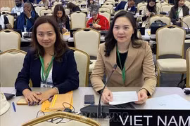 Nguyên Thi Vân Anh, ambassadrice, cheffe de la Délégation permanente du Vietnam auprès de l’UNESCO ors de la 43ᵉ session de l’UNESCO. Photo : VNA