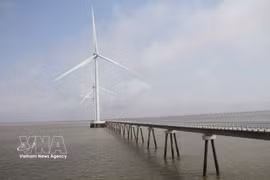Le Vietnam à l’écoute du modèle énergétique japonais