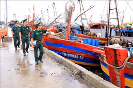 La province de Hung Yên redouble d’efforts pour prévenir et sanctionner la pêche illicite, non déclarée et non réglementée (IUU). Photo : VNA