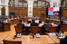 Lors de la séance de travail avec la Banque de Russie (Photo : VNA)