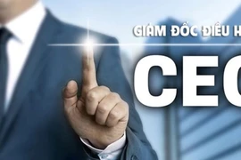 Le Premier ministre a promulgué la Décision n° 525/QĐ-TTg approuvant le Programme de formation et de perfectionnement de 10.000 directeurs exécutifs à l’horizon 2030. Photo : VGP