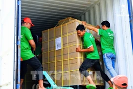 Premier lot de sucre de coco biologique OCOP de Tra Vinh exporté aux États-Unis. Photo ; VNA
