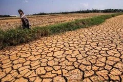 Le Japon propose une coopération avec l'ASEAN en matière de prévention des catastrophes naturelles