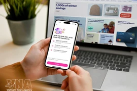 Le Vietnam a organisé avec succès sa première vente aux enchères de noms de domaine nationaux en « .vn » du 18 au 20 mars. (Photo : VNA)