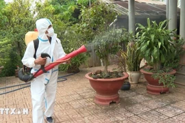 Un ouvrier fumige une zone résidentielle. (Photo : VNA)