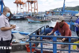 Surveillance du déchargement du poisson au port. (Photo : VNA)