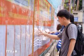 Des étudiants de Université pédagogique et technique – Université de Da Nang consultent la liste des candidats affichée au sein de l’établissement. Photo : VNA.