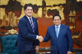Le Premier ministre Pham Minh Chinh (droite) et l’ambassadeur de Suède au Vietnam, Johan Ndisi. Photo : VNQ