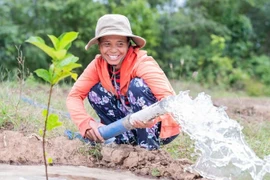 Accès à l'eau potable pour les habitants de Vinh Long touchés par le changement climatique