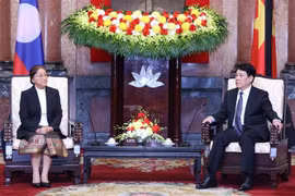 Le président Luong Cuong reçoit la vice-présidente lao Pany Yathotou. Photo : VNA