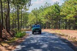 Đà Lạt est la deuxième destination la plus recherchée, grâce à ses nombreuses activités culturelles et de divertissement animées pendant les fêtes du Nouvel An. Photos ; baolamdong.vn