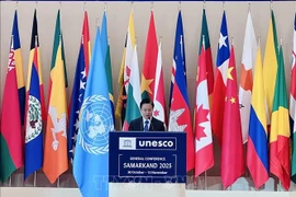 Le vice-ministre des Affaires étrangères Ngô Lê Van. Photo : VNA