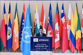 Le vice-ministre des Affaires étrangères Ngô Lê Van. Photo : VNA
