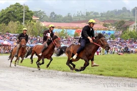 Course hippique lors de la finale du Tournoi élargi de courses de chevaux traditionnelles de Bắc Hà (Lào Cai). Photo : VNA