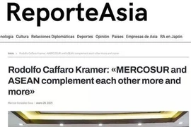 Capture d'écran de l'article sur l'interview accordée par le président mondial de la Chambre de commerce Mercosur-ASEAN, Rodolfo Caffaro Kramer, à ReporteAsia (Photo : VNA)