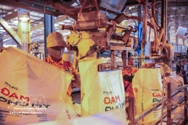 Ligne de conditionnement de la société PetroVietnam Fertiliser and Chemicals Corporation (Phu My) (Photo : VNA)