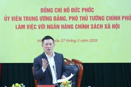 Le vice-Premier ministre Ho Duc Phoc donne des instructions lors d'une séance de travail. Photo : VNA
