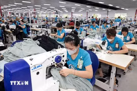 Les exportations vietnamiennes, d’une valeur de 187 millions de dollars (+32,2 %), vers la Bulgarie, concernent principalement le fil de coton, le café, le riz, la noix de cajou, le caoutchouc, le textile-habillement, la maroquinerie, la chaussure, les composants électroniques et les produits plastiques. Photo : VNA