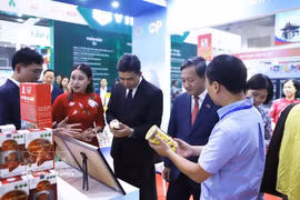 L'ambassadeur du Vietnam au Laos, Nguyễn Minh Tâm, et le vice-ministre lao de l'Industrie et du Commerce, Phouthavanh Nanthavong, visitent le pavillon vietnamien à la Foire commerciale Vietnam-Laos 2026. Photo : VNA 